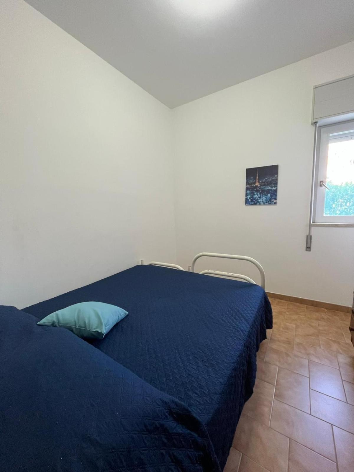Apartment Cavalluccio Marino
